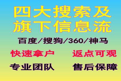 SEM推广优化实战：案例分析与启示